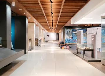 SHOWROOM showroom gallery